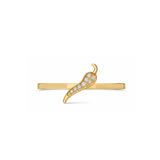 Chilli WHOOP Charm