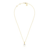 A Diamond-Cut Initial Pendant