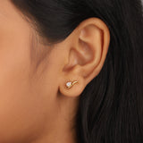 Clam Diamond Leher Climber